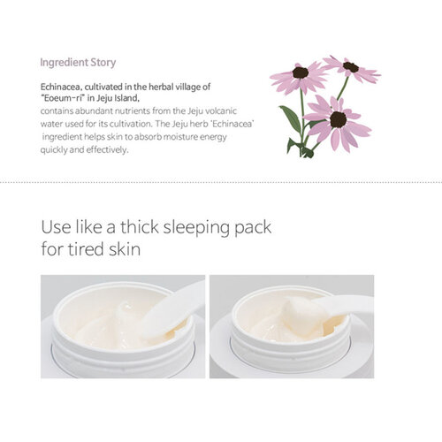 Vital in Jeju Time Repair Cream Accoje Vital in Jeju Time Repair Cream