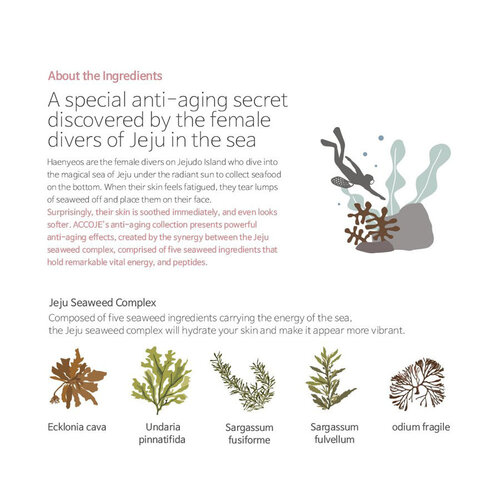 Anti-Aging Volume Capsule Cream Accoje Anti-Aging Volume Capsule Cream