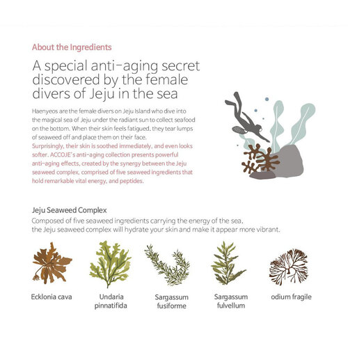 Anti-Aging Wrinkle Corrector Accoje Anti-Aging Wrinkle Corrector