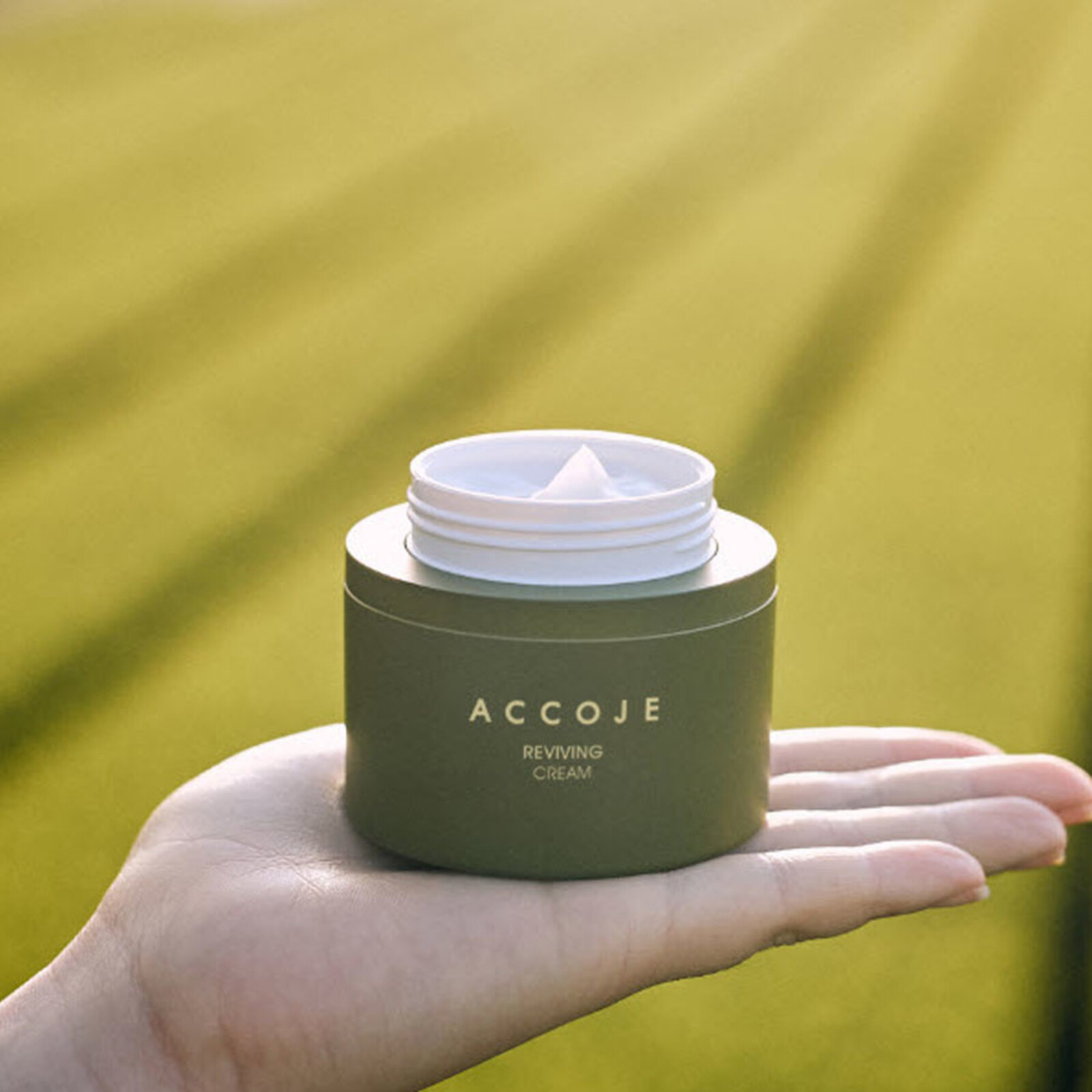 Accoje Reviving Cream