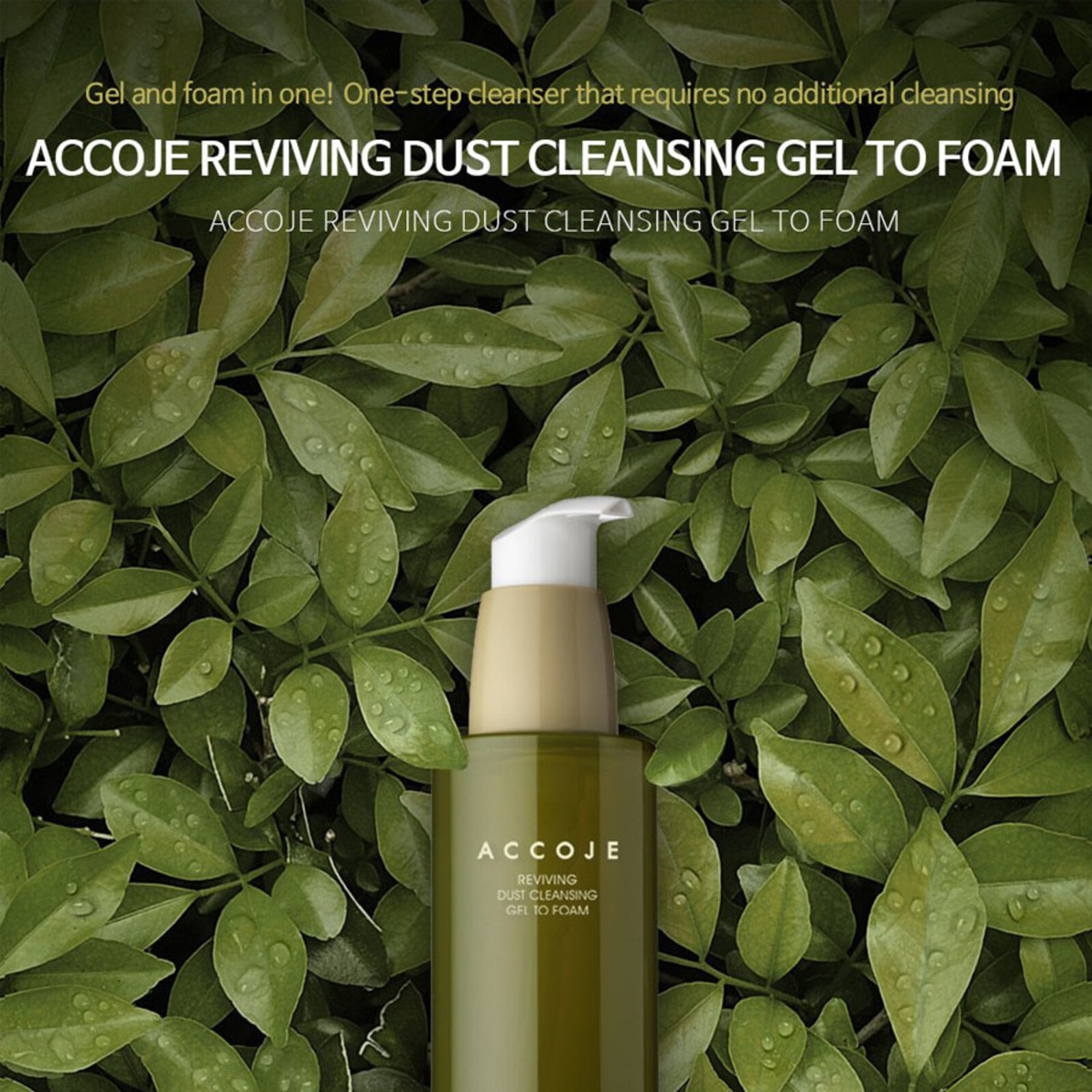 Accoje Reviving Dust Cleansing Gel to Foam