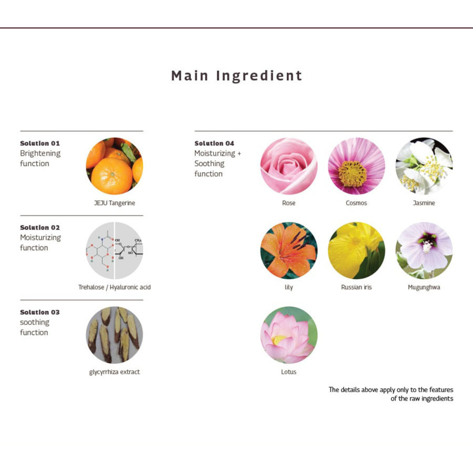 Qyo Qyo Tangerine Bright+Moist All In One Cream