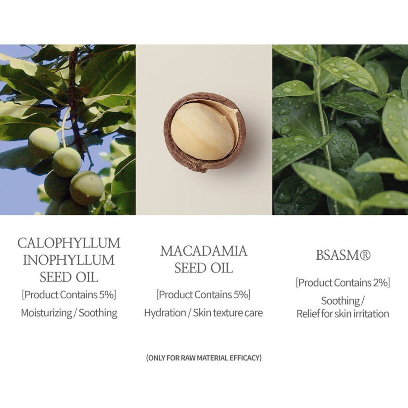 Sioris Deep In A Barrier Cream