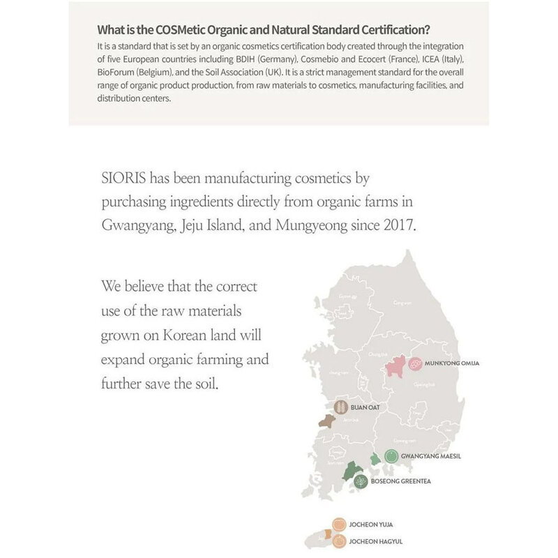 Falling Into The Rose