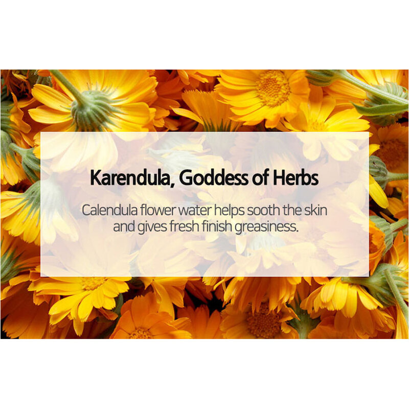 Fresh Herb Origin Sun Block SPF50+ PA++++