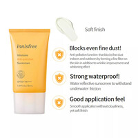 Intensive Anti-pollution Sunscreen SPF50+ PA++++ Innisfree Intensive Anti-pollution Sunscreen SPF50+ PA++++