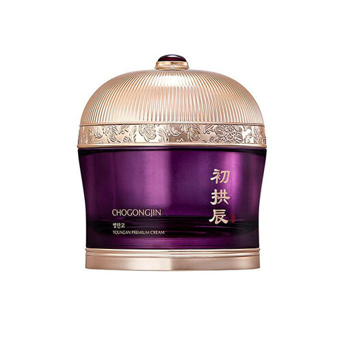 Missha Cho Gong Jin Youngan Premium Cream