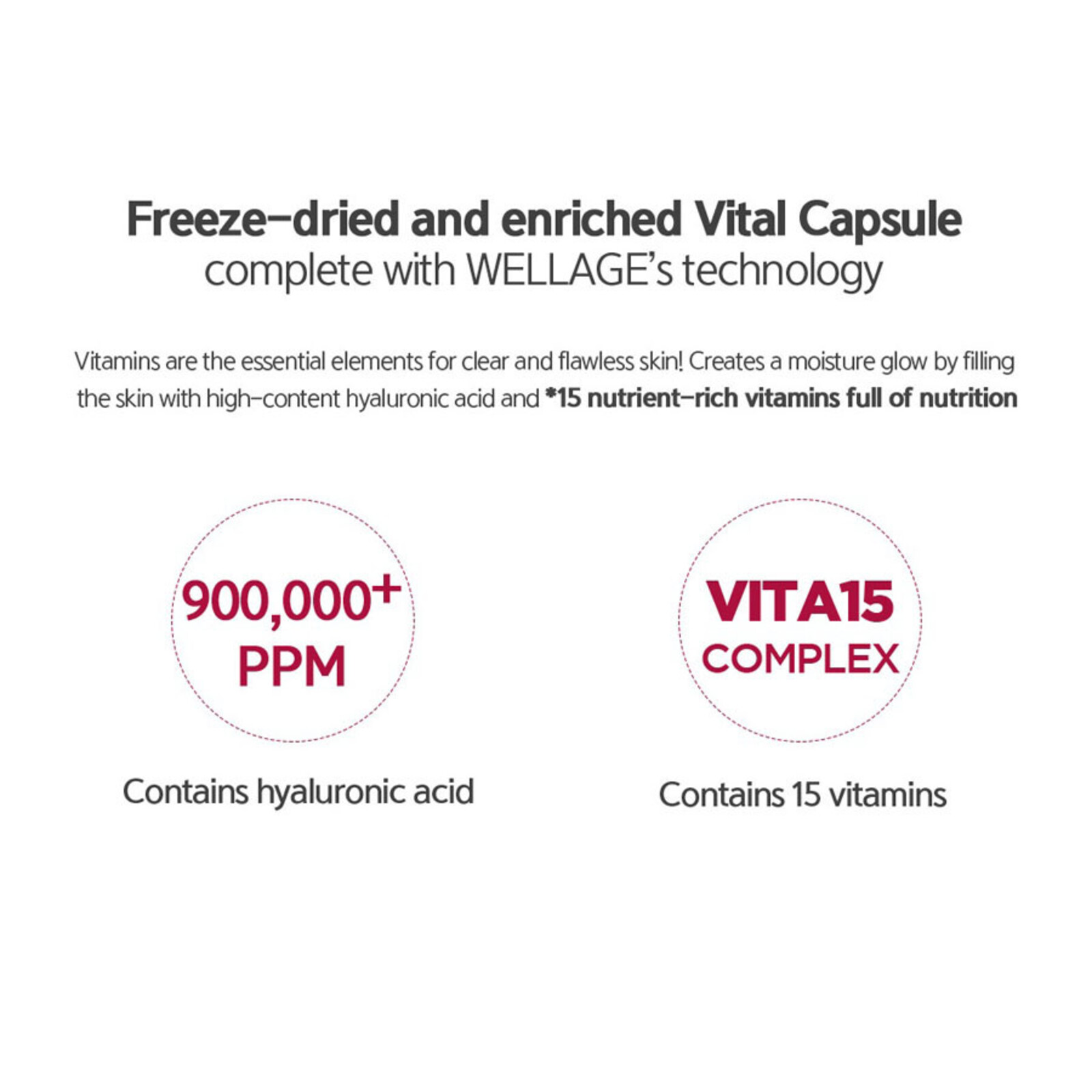 Wellage Real Vital White One Day Kit