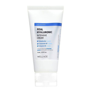 Wellage Real Hyaluronic Intensive Cream Real Hyaluronic Intensive Cream