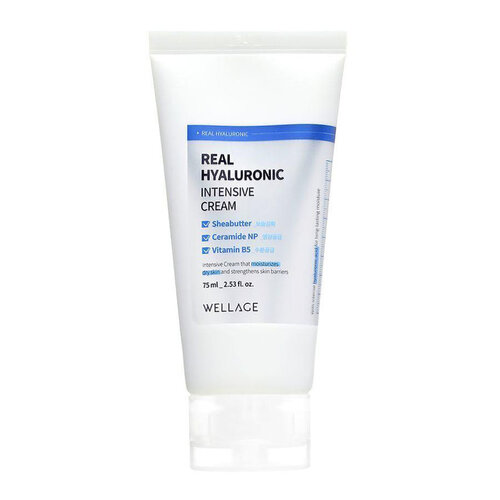 Real Hyaluronic Intensive Cream Wellage Real Hyaluronic Intensive Cream