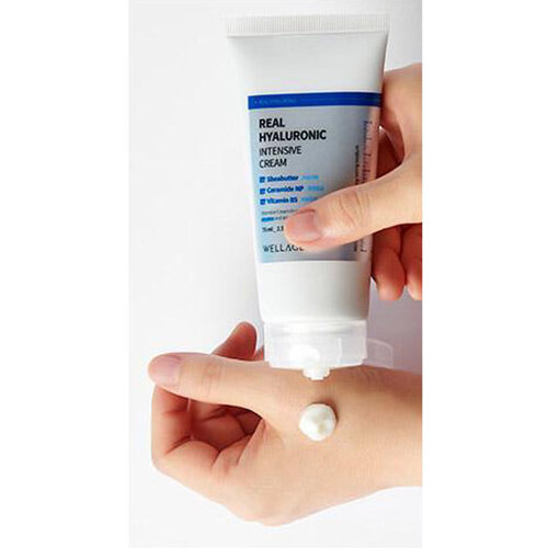 Real Hyaluronic Intensive Cream Wellage Real Hyaluronic Intensive Cream
