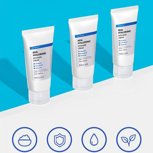 Real Hyaluronic Intensive Cream Wellage Real Hyaluronic Intensive Cream
