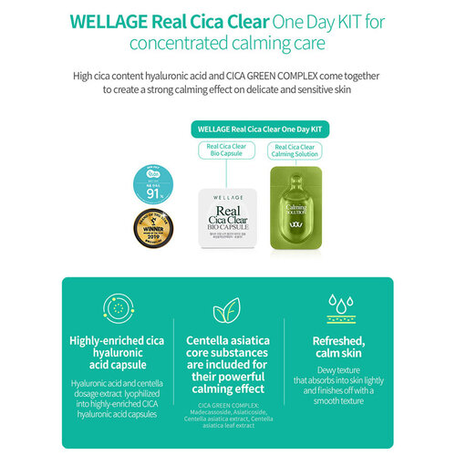 Cica Clear One Day Kit Wellage Cica Clear One Day Kit