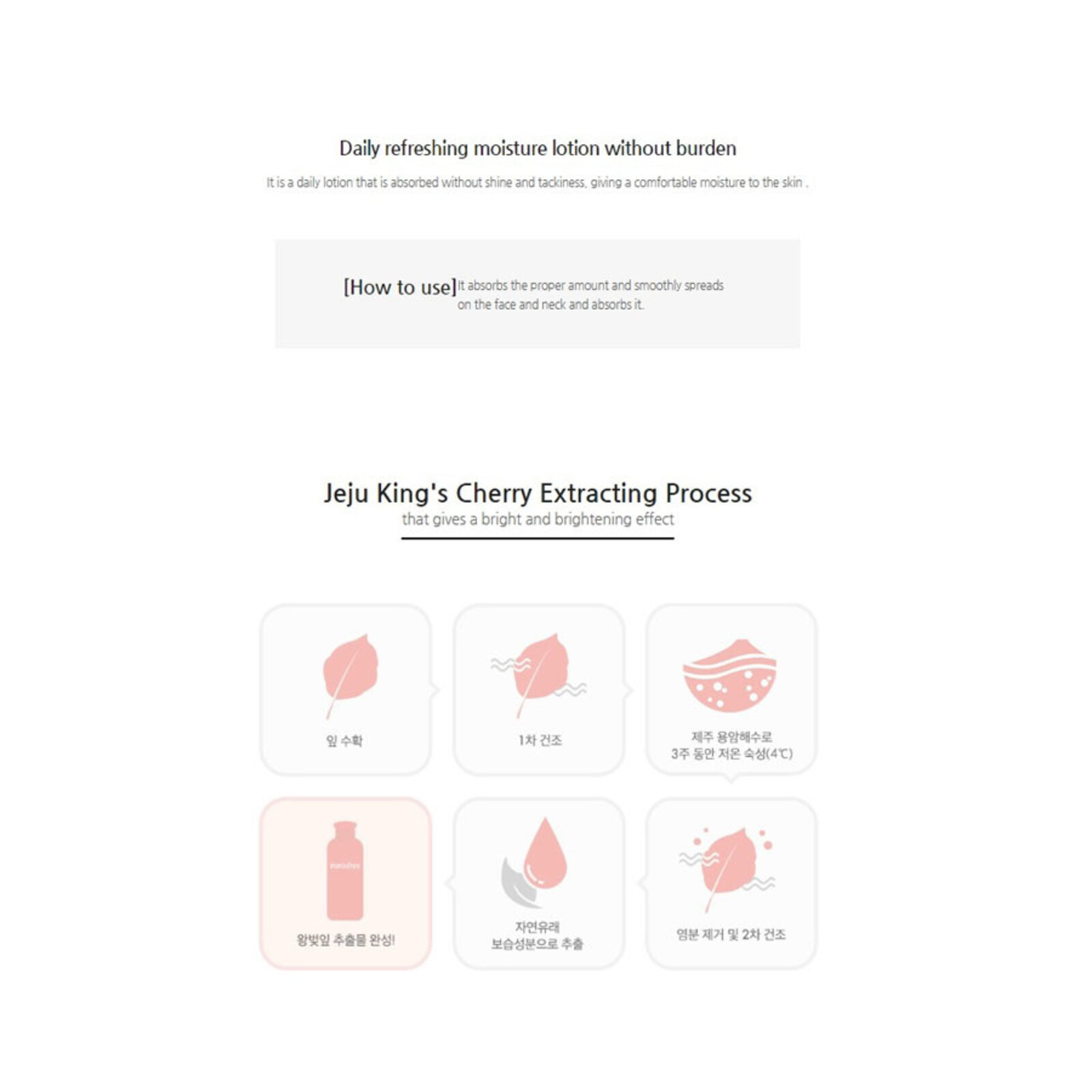 Innisfree Jeju Cherry Blossom Lotion