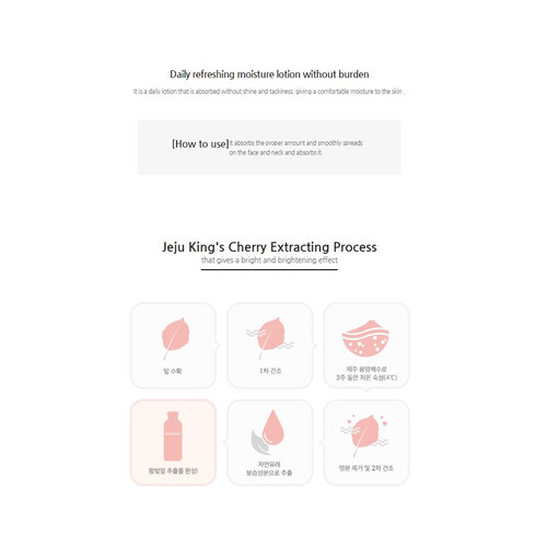 Jeju Cherry Blossom Lotion Innisfree Jeju Cherry Blossom Lotion