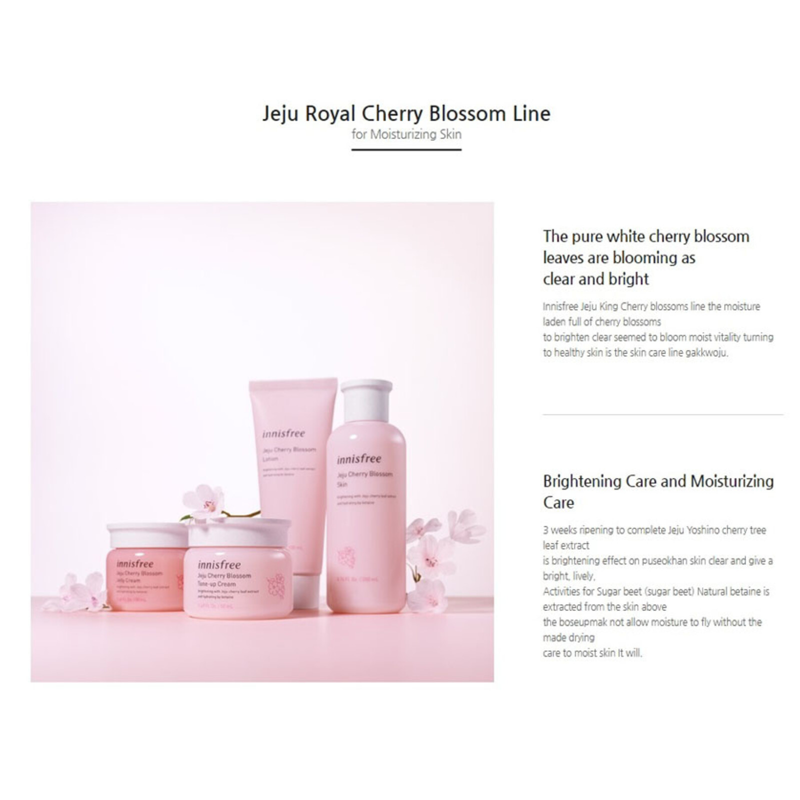 Innisfree Jeju Cherry Blossom Lotion