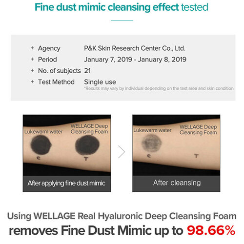 Real Hyaluronic Cleansing Foam Wellage Real Hyaluronic Cleansing Foam