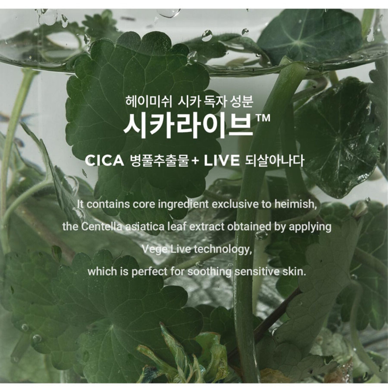 Heimish Cica Live Repair Cream