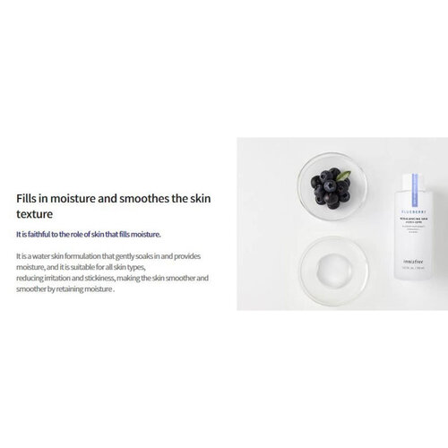 Blueberry Rebalancing Skin Innisfree Blueberry Rebalancing Skin