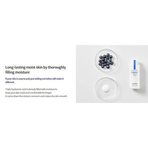 Blueberry Rebalancing Lotion Innisfree Blueberry Rebalancing Lotion