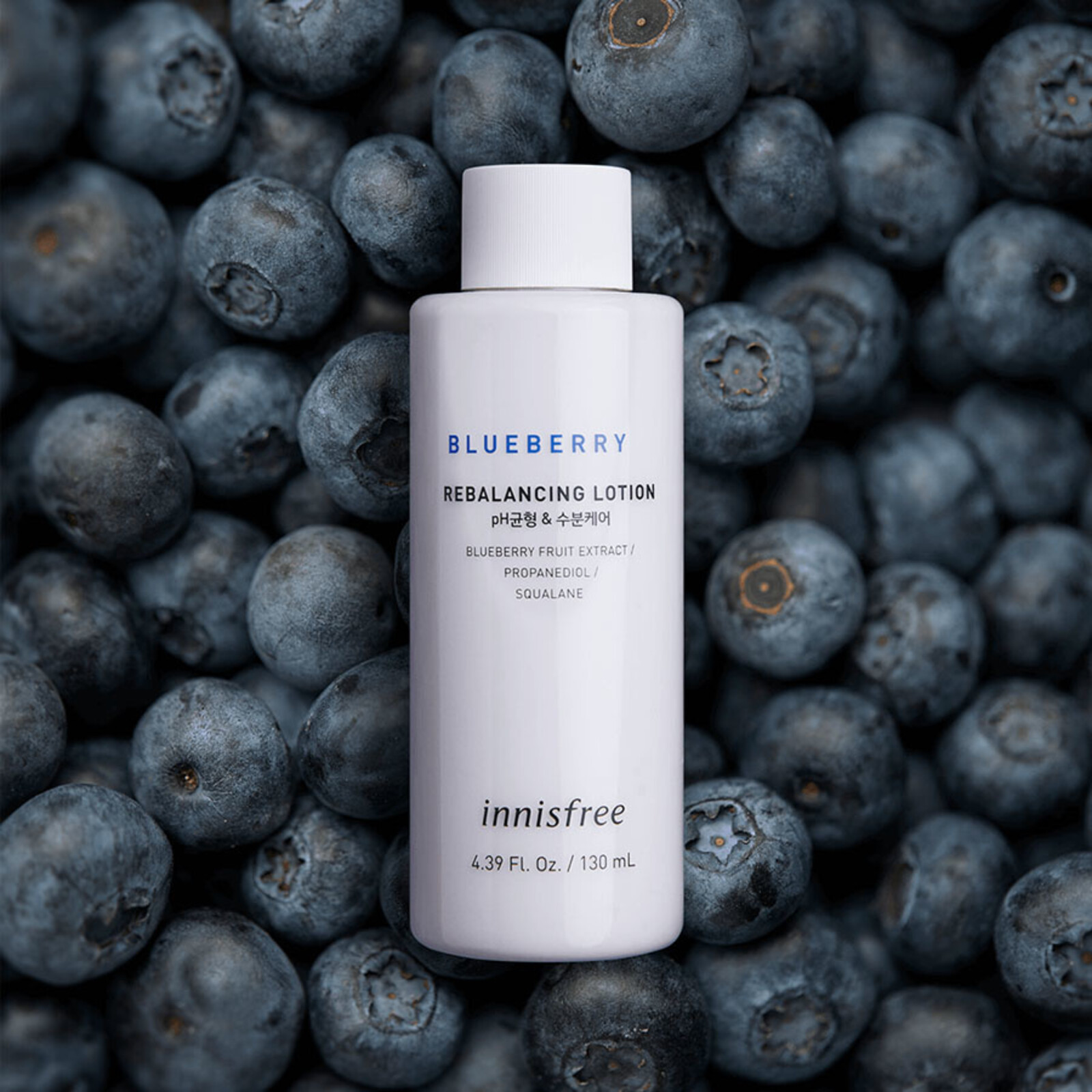 Innisfree Blueberry Rebalancing Lotion