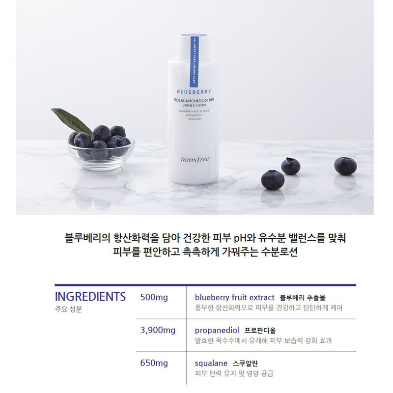 Blueberry Rebalancing Lotion