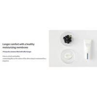Blueberry Rebalancing Cream Innisfree Blueberry Rebalancing Cream