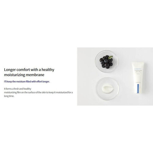 Blueberry Rebalancing Cream Innisfree Blueberry Rebalancing Cream