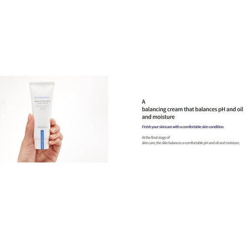 Blueberry Rebalancing Cream Innisfree Blueberry Rebalancing Cream