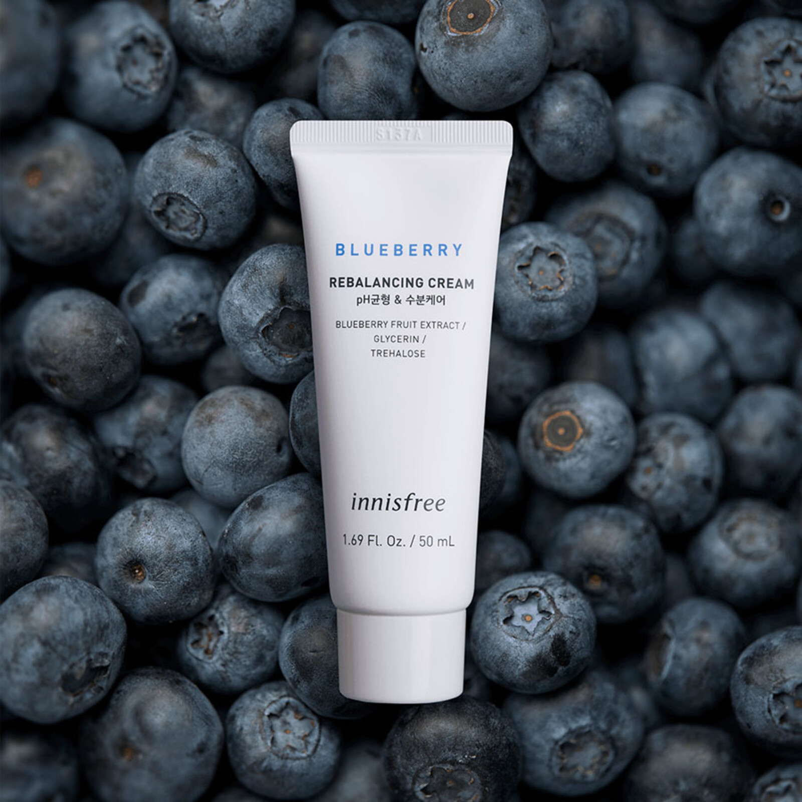 Innisfree Blueberry Rebalancing Cream