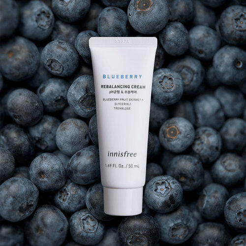 Blueberry Rebalancing Cream Innisfree Blueberry Rebalancing Cream