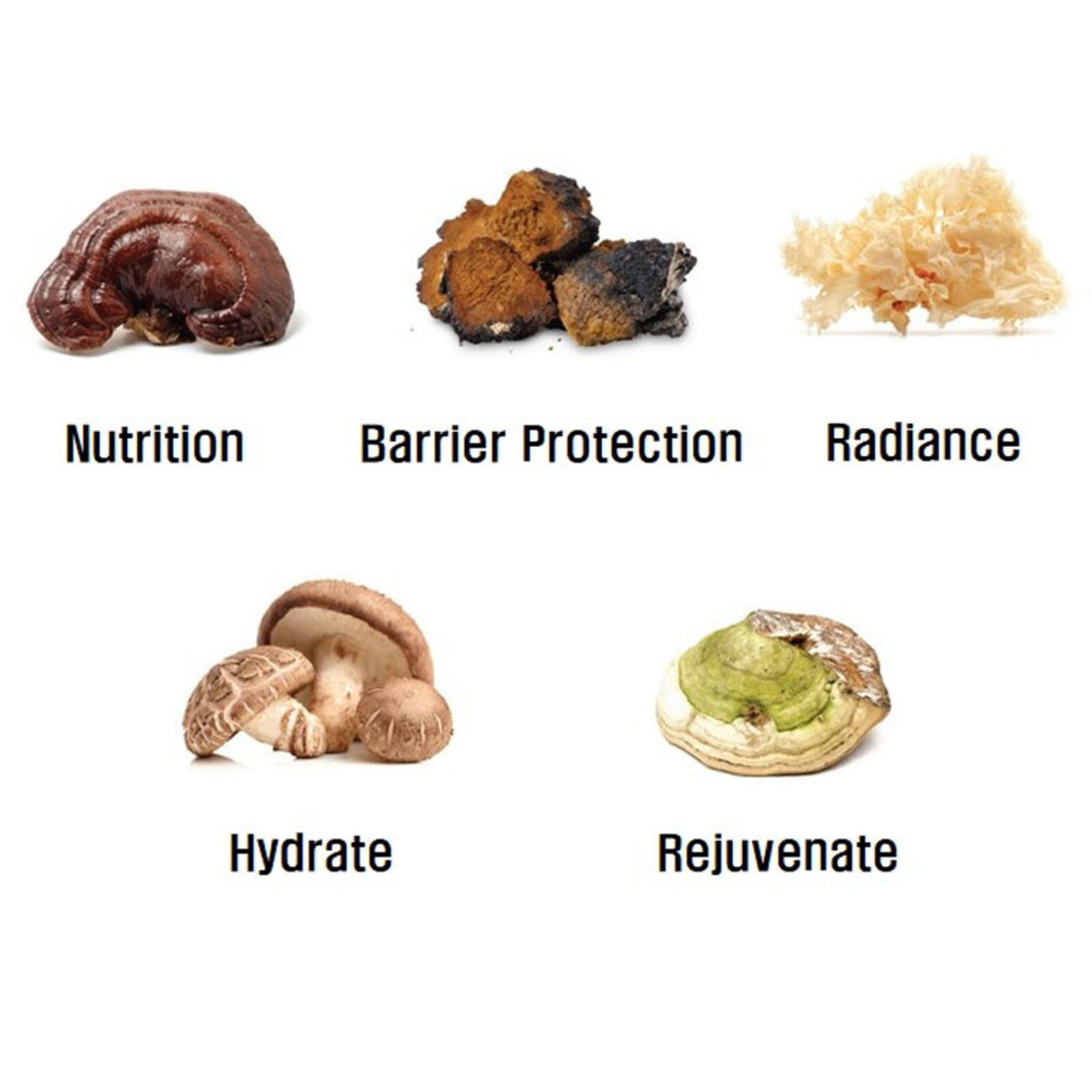 Petitfée B-Glucan Deep Firming Eye Mask