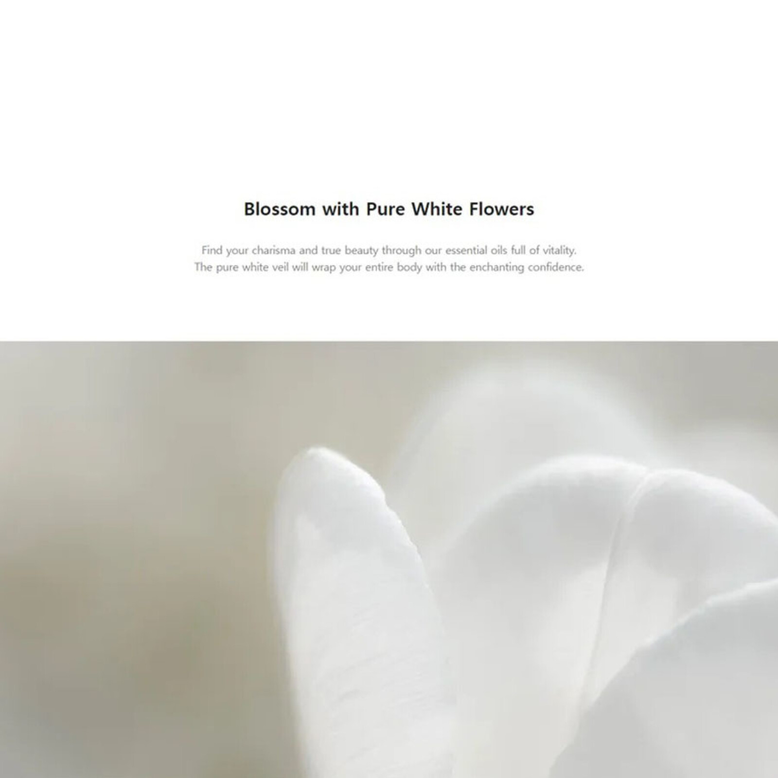 Aromatica Blossoming Neroli & Jasmine Body Lotion