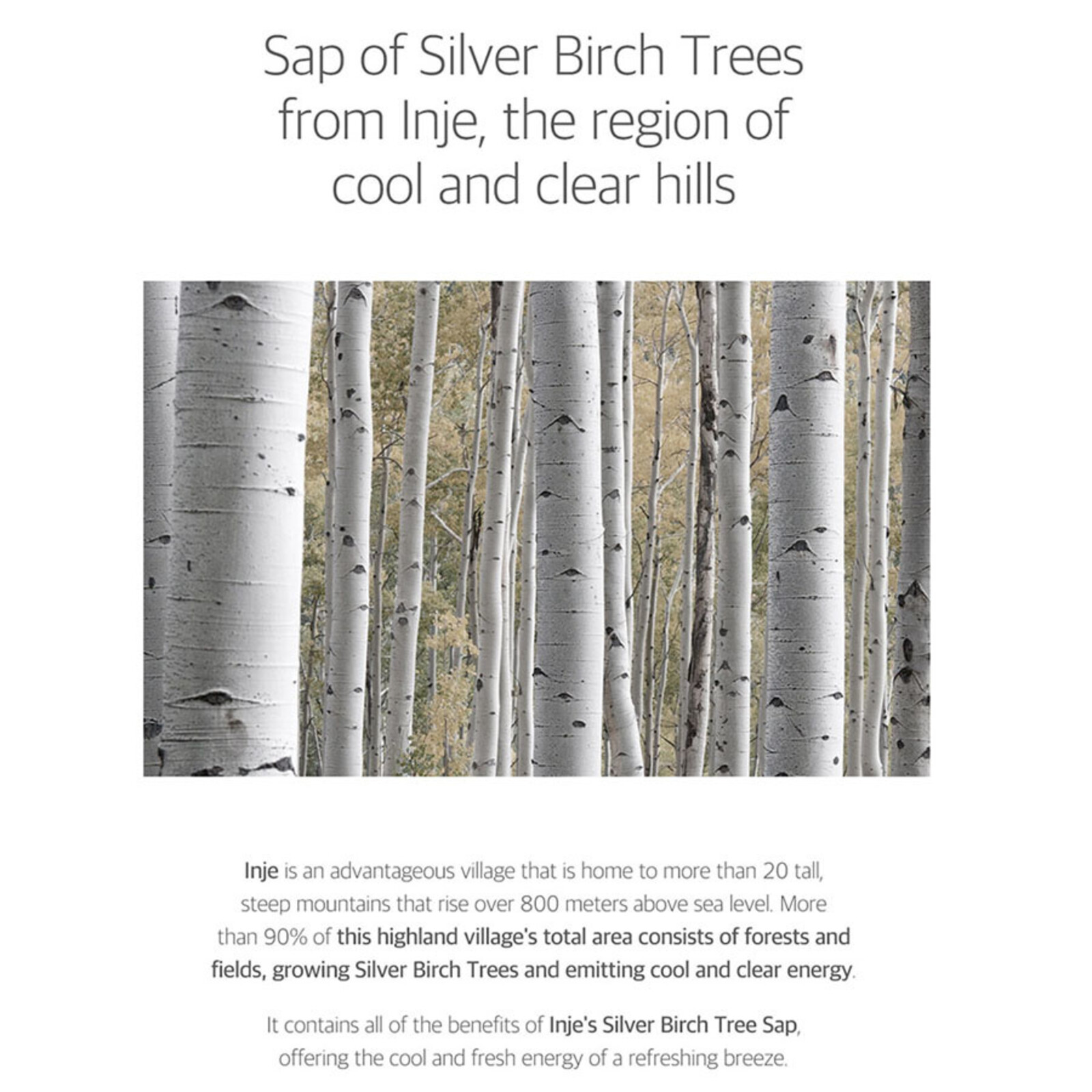 Round Lab Birch Juice Moisturizing Toner