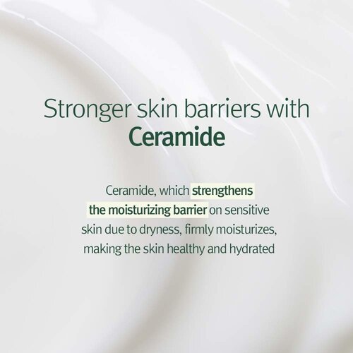 Calming Moisture Barrier Cream Pyunkang Yul Calming Moisture Barrier Cream
