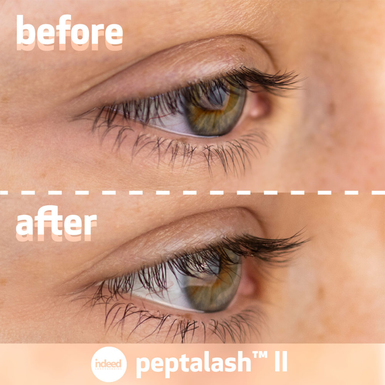Indeed Labs Peptalash II Eyelash Serum