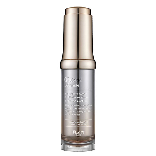 Quesera Ceramide The Plant Base Quesera Ceramide