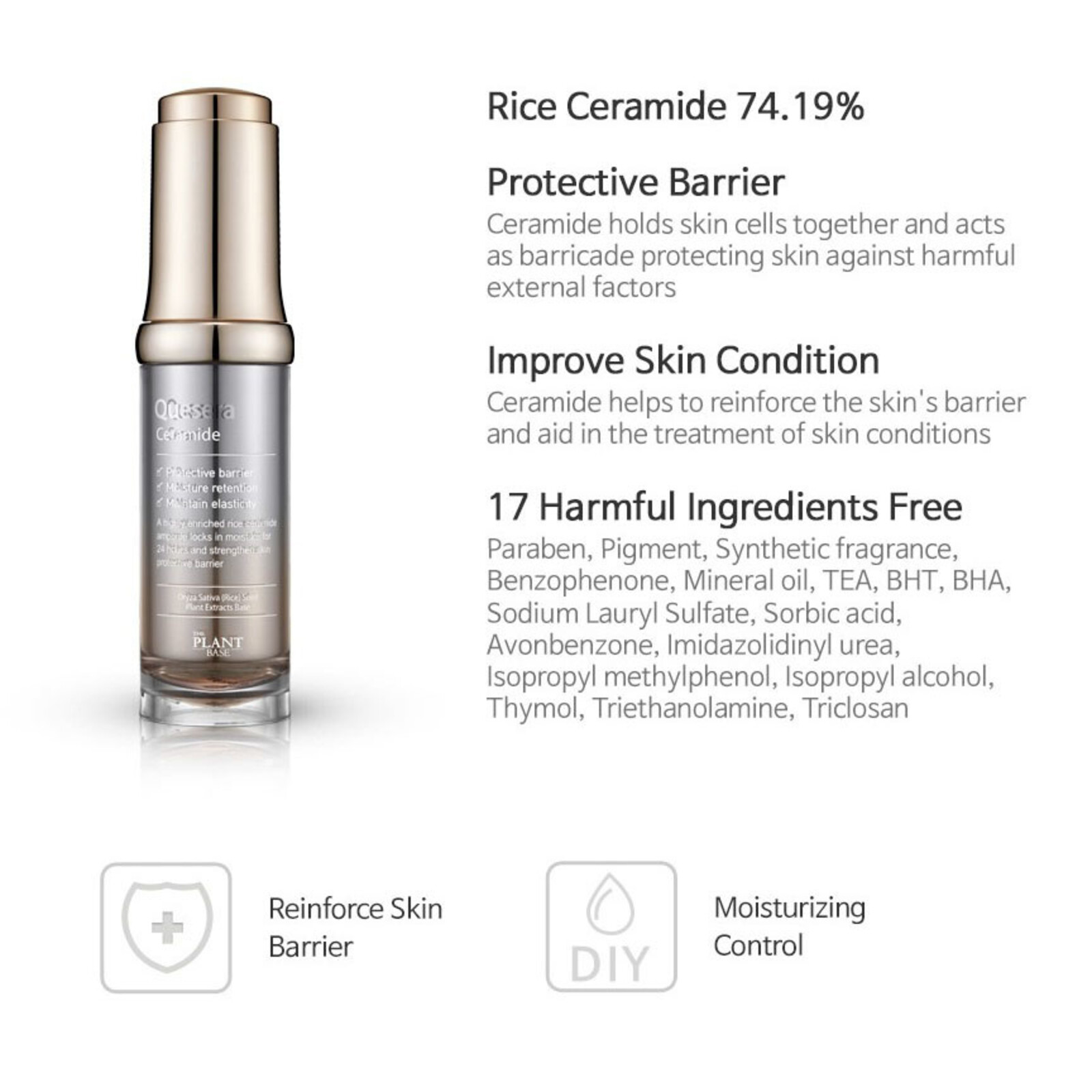 The Plant Base Quesera Ceramide