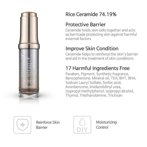 Quesera Ceramide The Plant Base Quesera Ceramide