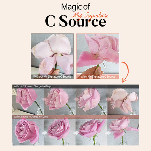 My Signature C Source TIA'M My Signature C Source