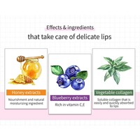 Blueberry Hydrating Honey Lip Balm Frudia Blueberry Hydrating Honey Lip Balm