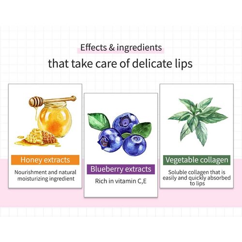 Blueberry Hydrating Honey Lip Balm Frudia Blueberry Hydrating Honey Lip Balm