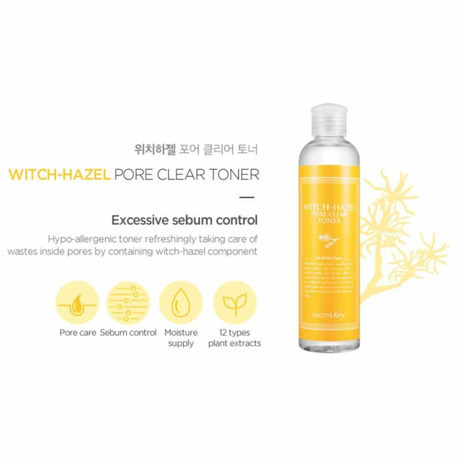 Secret Key Witch Hazel Pore Clear Toner