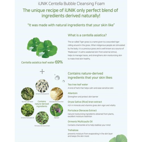 Centella Bubble Cleansing Foam iUNIK Centella Bubble Cleansing Foam