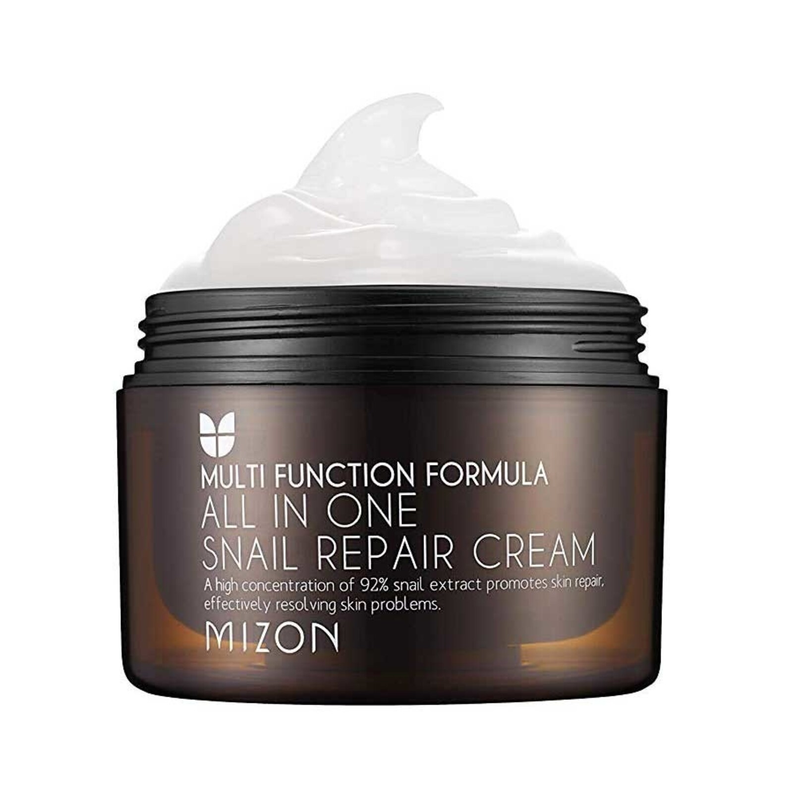 Mizon All In One Snail Repair Cream
