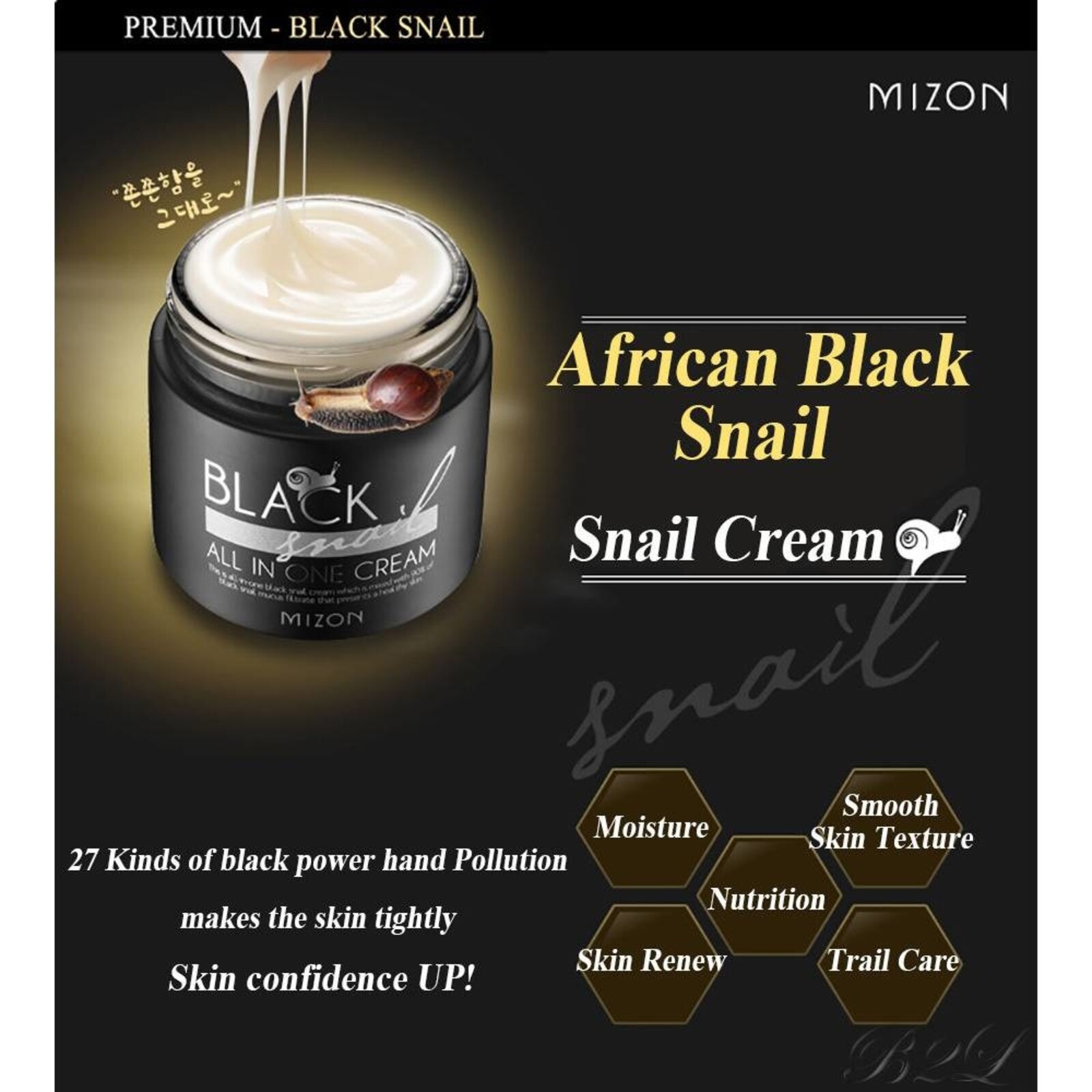 Mizon Black Snail All In One Cream