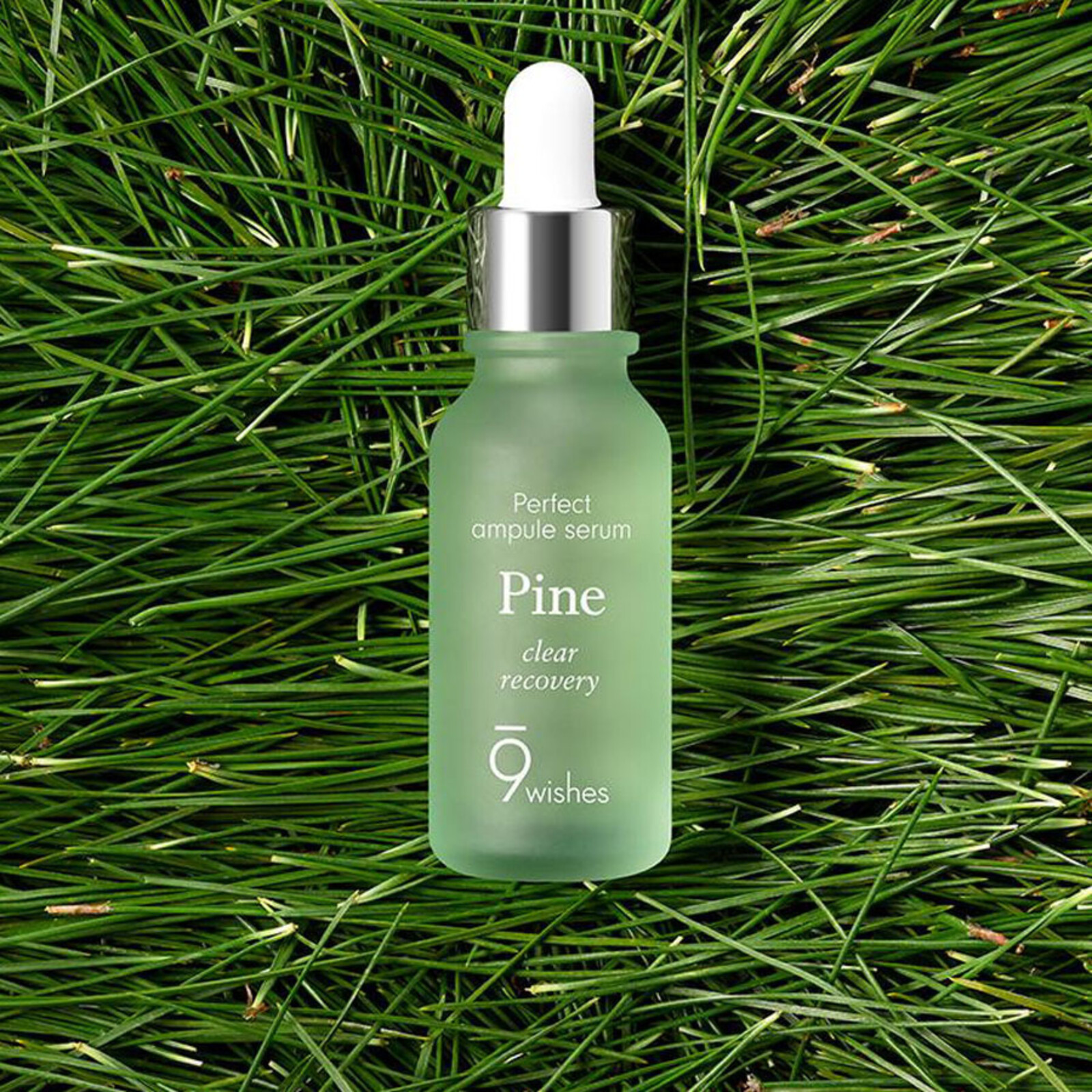 9Wishes Amazing Pine Ampule Serum