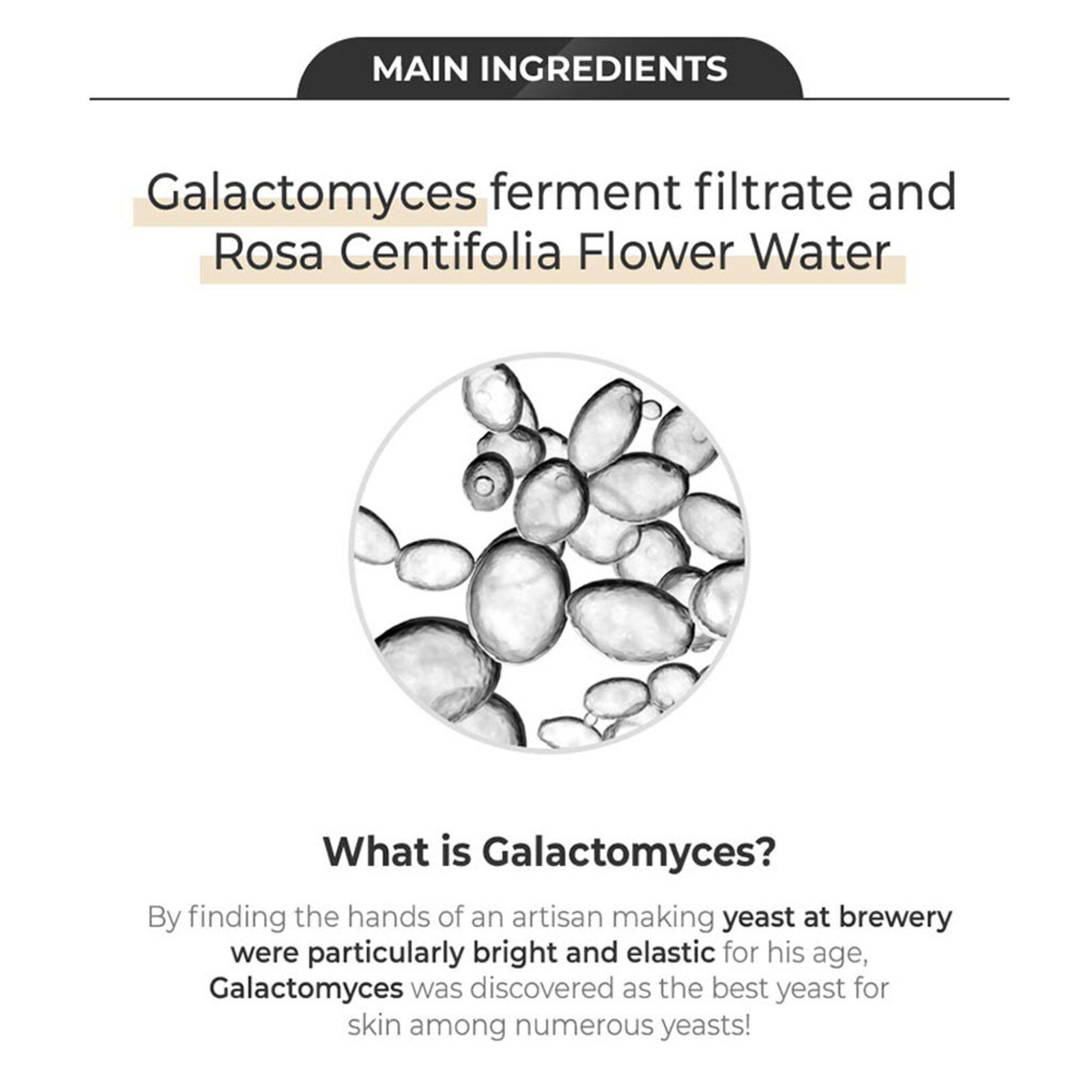 Secret Key Starting Treatment Rose Facial Eye Cream