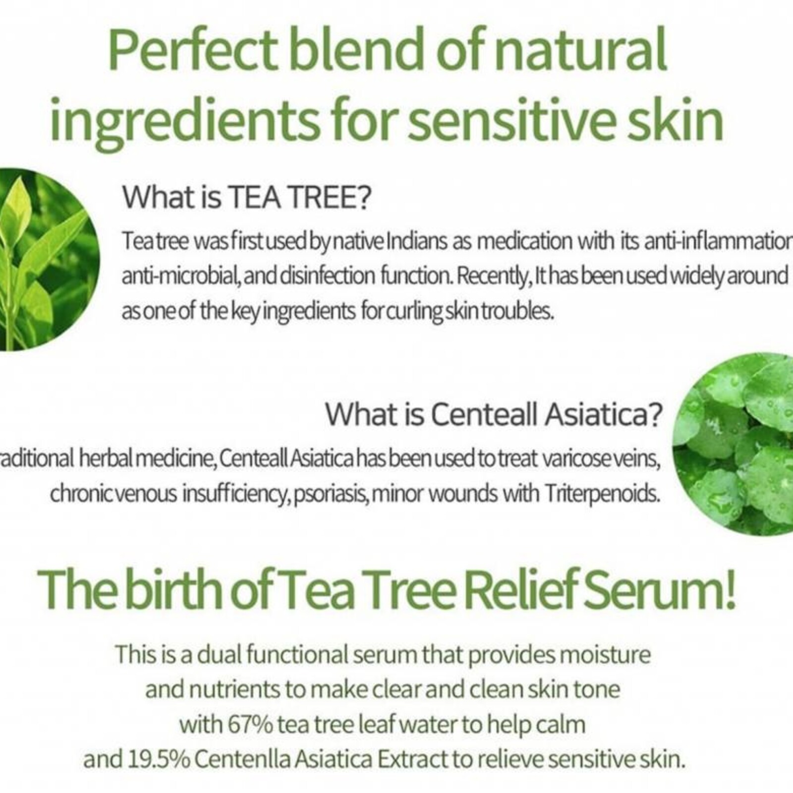 iUNIK Tea Tree Relief Serum