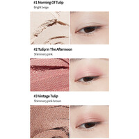 Play Color Eye Tulip Day Etude House Play Color Eye Tulip Day